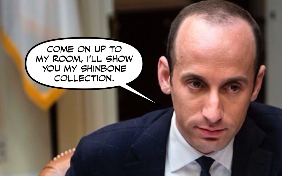 Would You Rather be Omarosa at a Campaign Reunion, or Stephen Miller at a Family Reuinion?