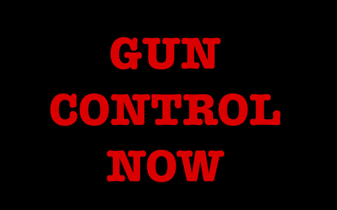I’ll Tell You What I Want, What I Really, Really, Want: FUCKING GUN CONTROL